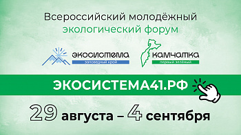 Экобизнесменов Брянщины приглашают на экологический форум в Камчатский край