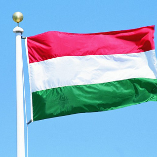 Возможности выхода на рынок Венгрии обсудят экспортёры Брянщины