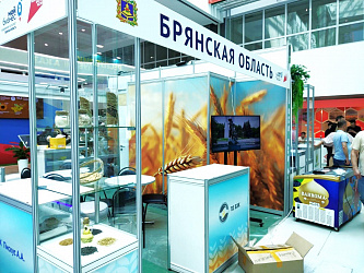 Брянские компании представили область на выставке, которую посетил Михаил Мишустин