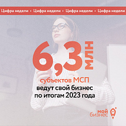 Татьяна Илюшникова: количество субъектов МСП в РФ выросло в 2023 году на 6% и достигло 6,3 млн