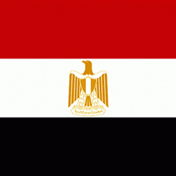 Экспортеры Брянщины смогут обсудить продвижение на рынок Арабской Республики Египет